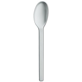 Ложка сервировочная 25,5 см Minimale Zwilling